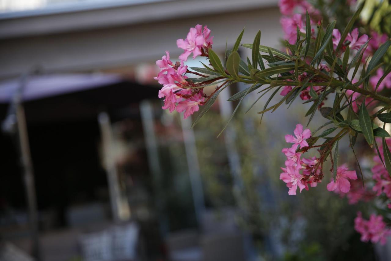 Guest House Lorenta 沃迪切 外观 照片