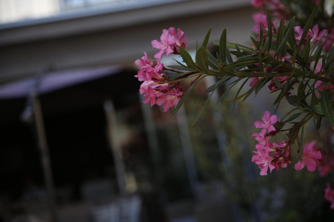 Guest House Lorenta 沃迪切 外观 照片